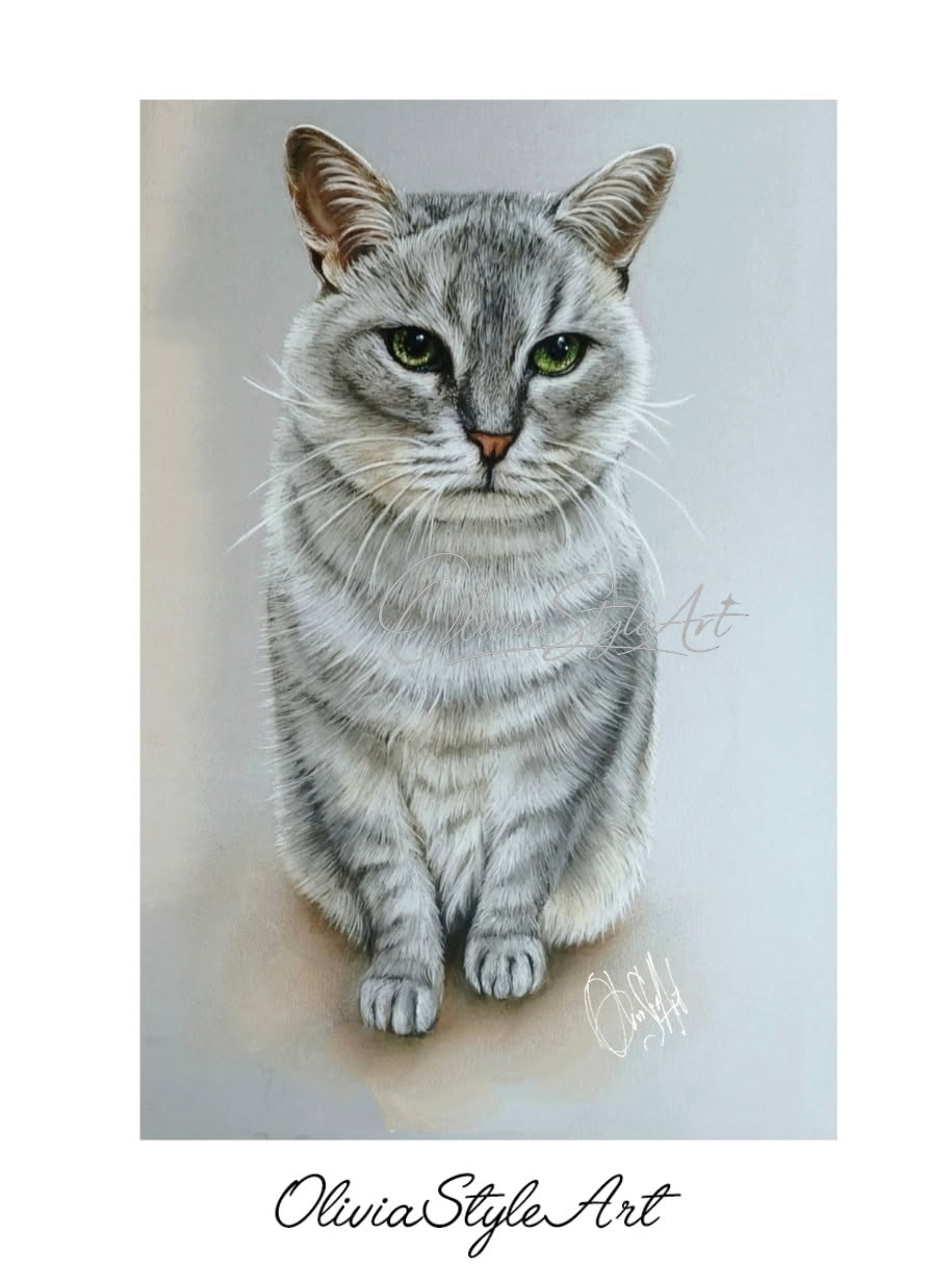 Portrait chat